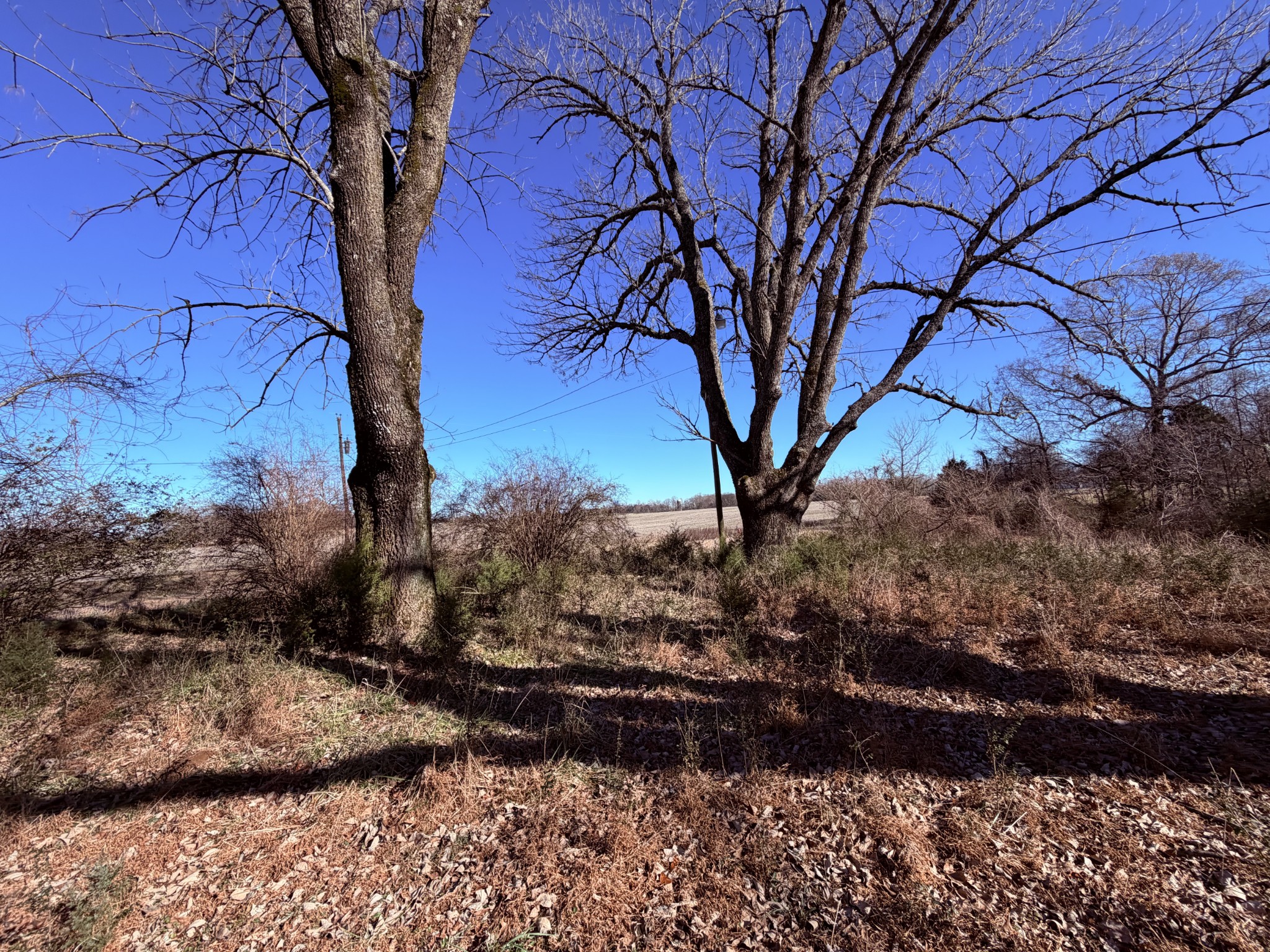 2645 Old State Route 76