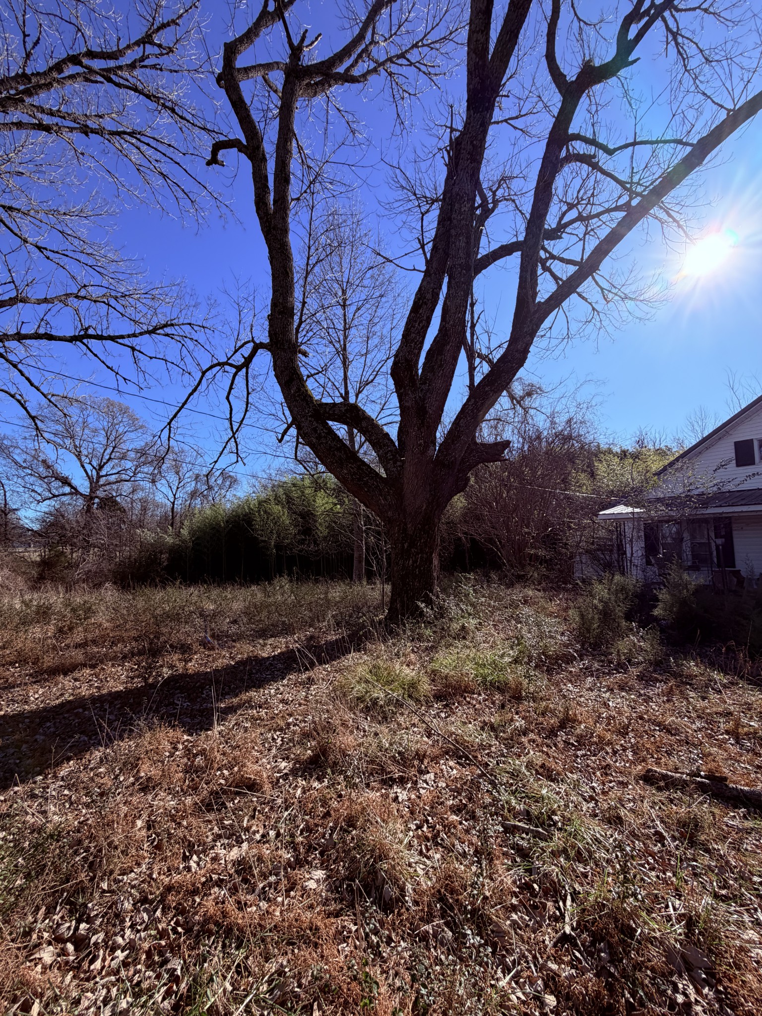 2645 Old State Route 76