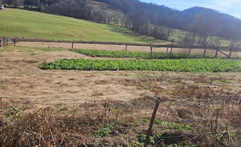 1 wilburn hollow rd Riddleton TN 37151