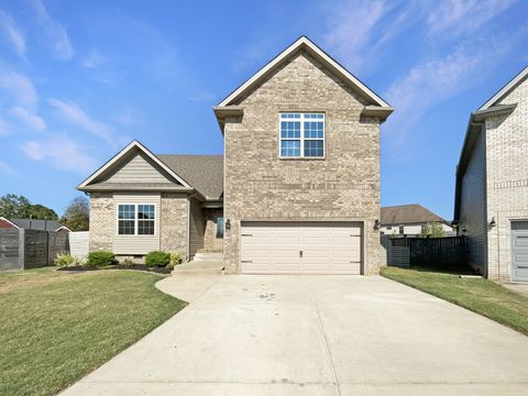 157 Gabriella Ct Pleasant View TN 37146