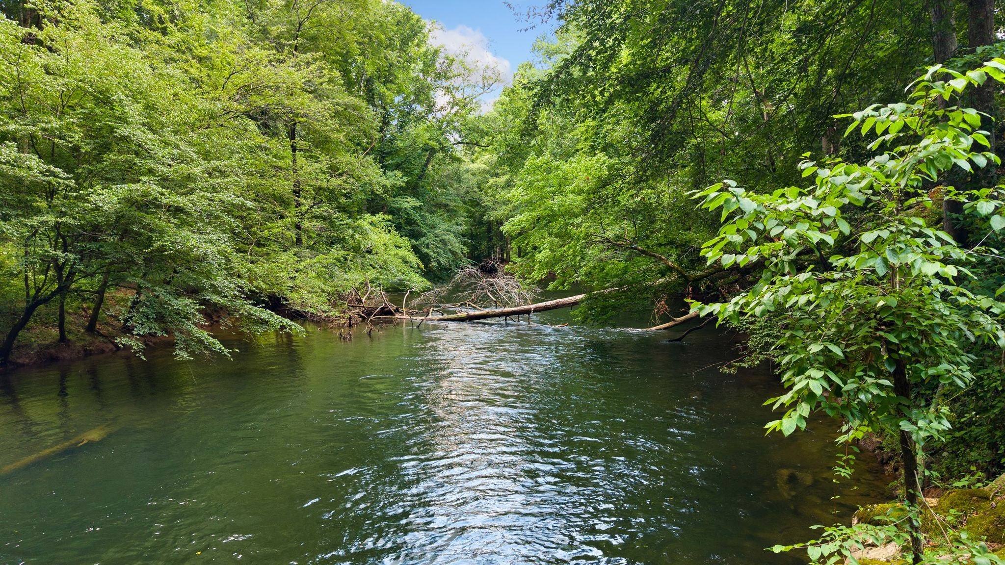 800 Reynolds Bridge Rd