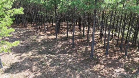 3722 Old Hohenwald Rd Linden TN 37096