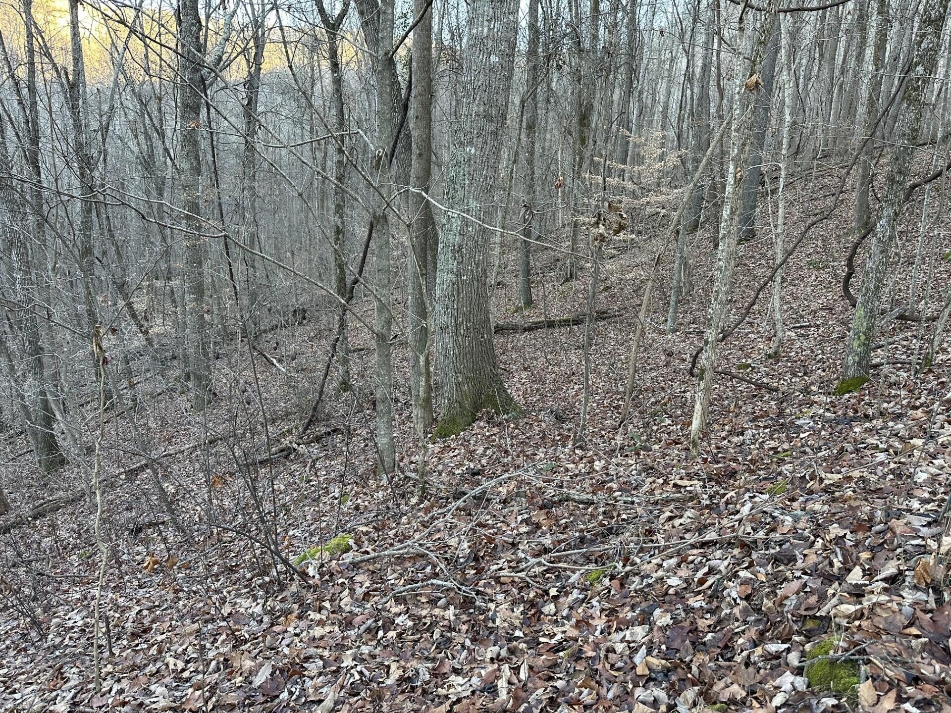 83 Stone Ridge Road
