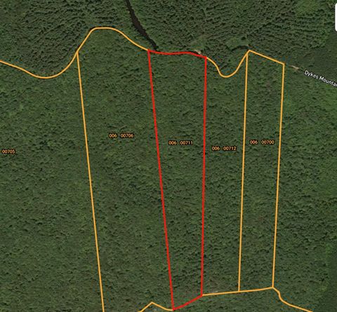 0 Dykes Mtn Beersheba Springs TN 37305