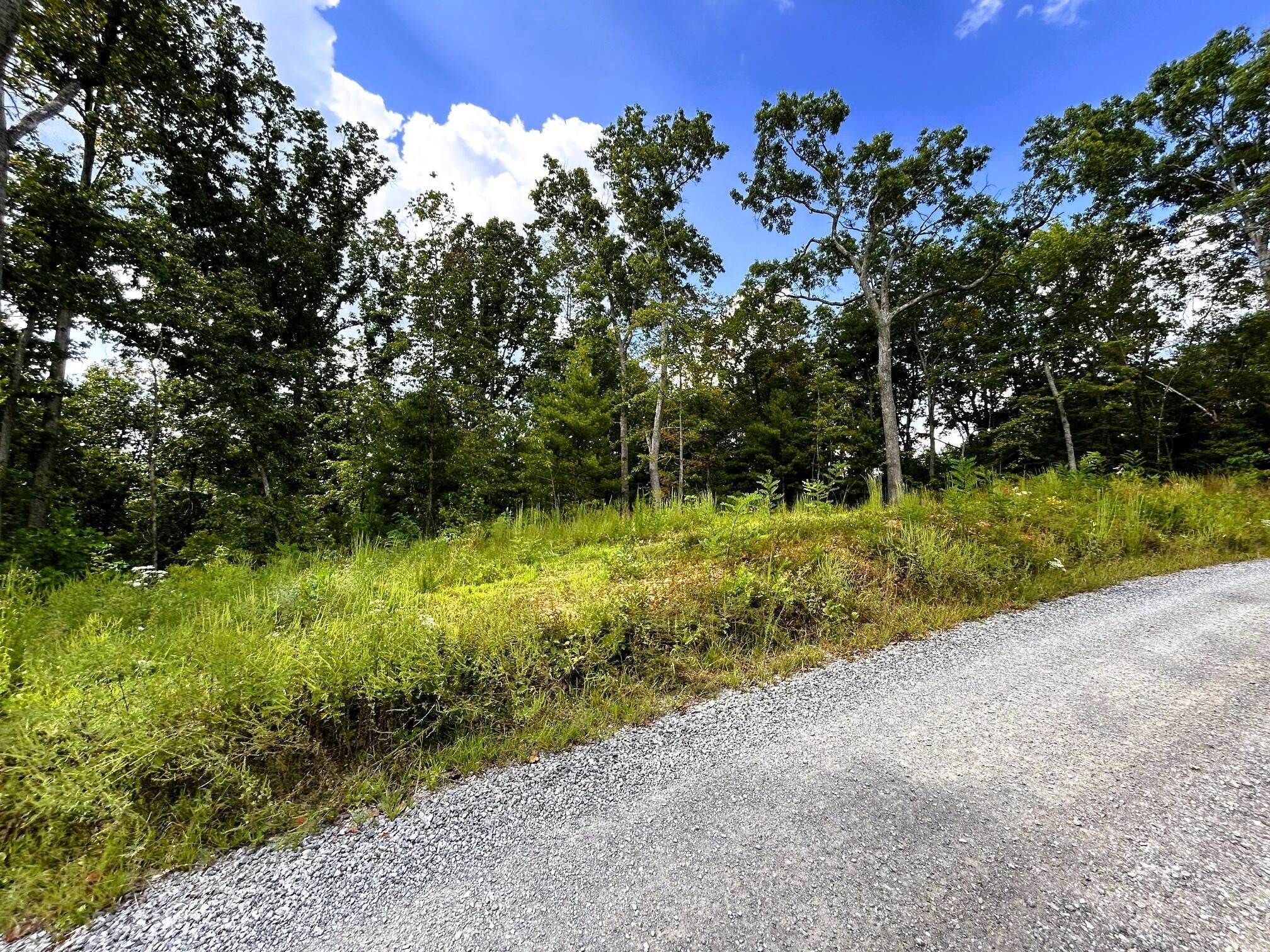 107125 Chestnut Mountain Road