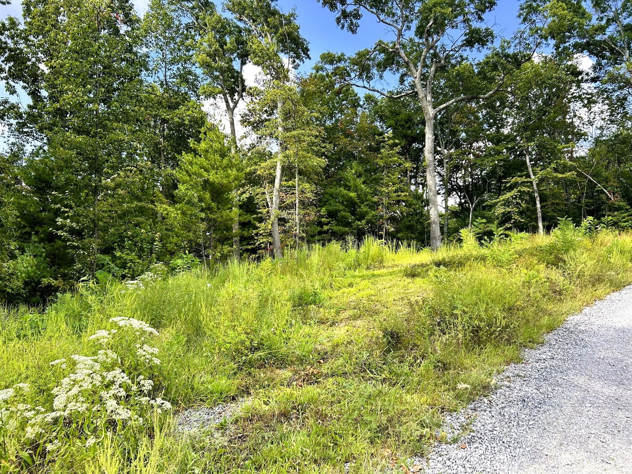 107125 Chestnut Mountain Road