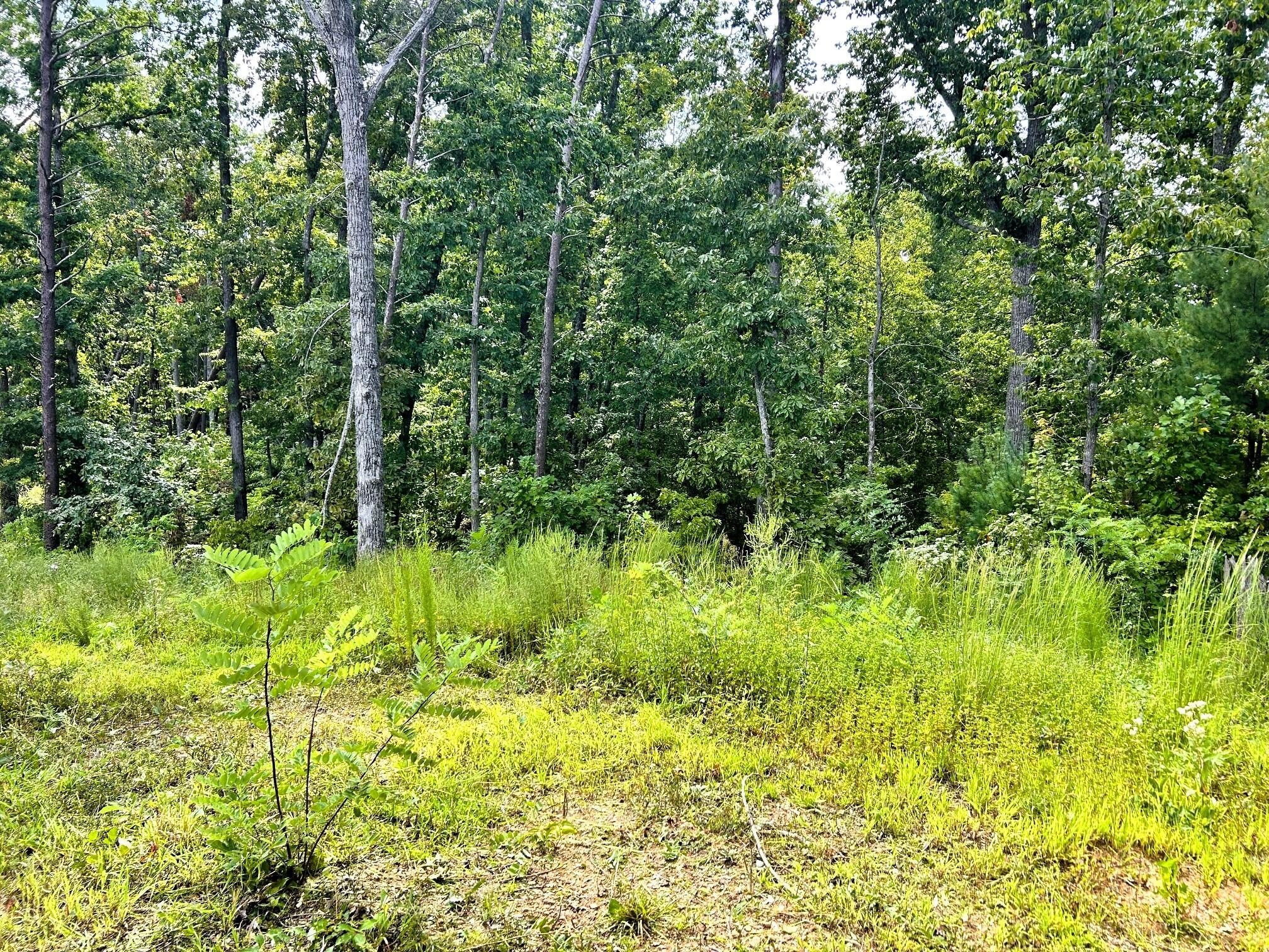 107125 Chestnut Mountain Road