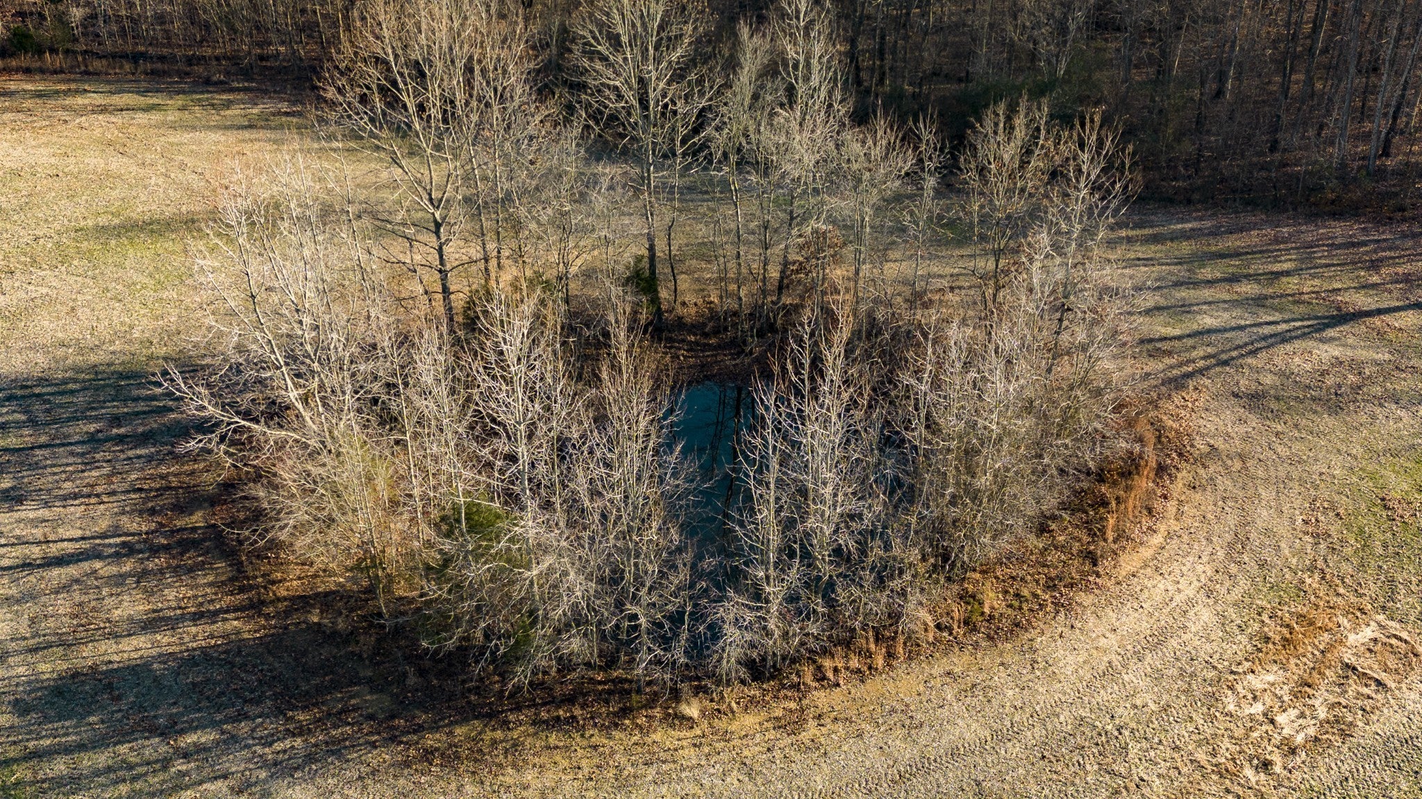 366 Parker Rd
