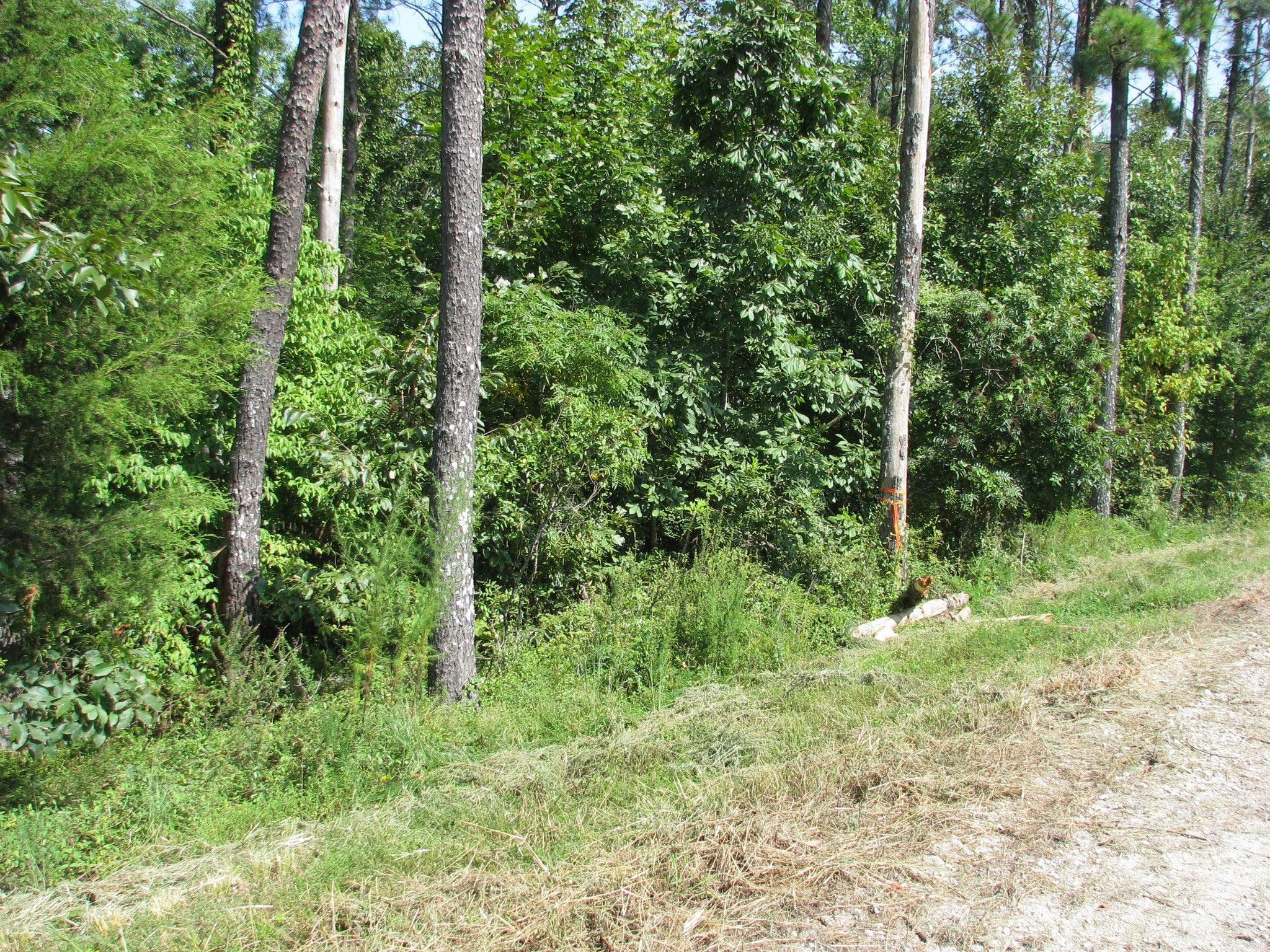 1920 Richland Harbor Rd