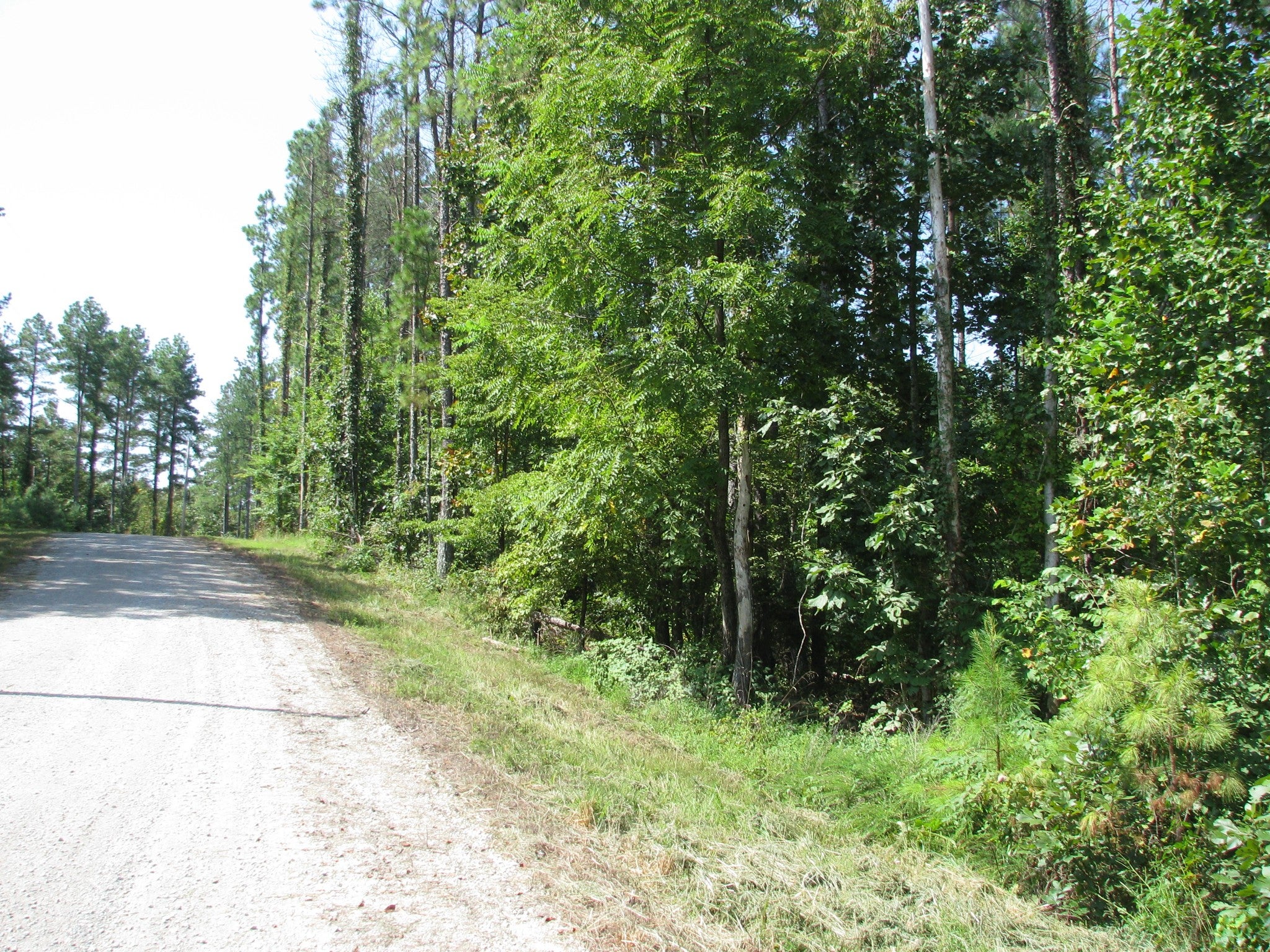 1920 Richland Harbor Rd