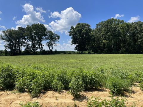 0 Hidden Hills Lane Summertown TN 38483