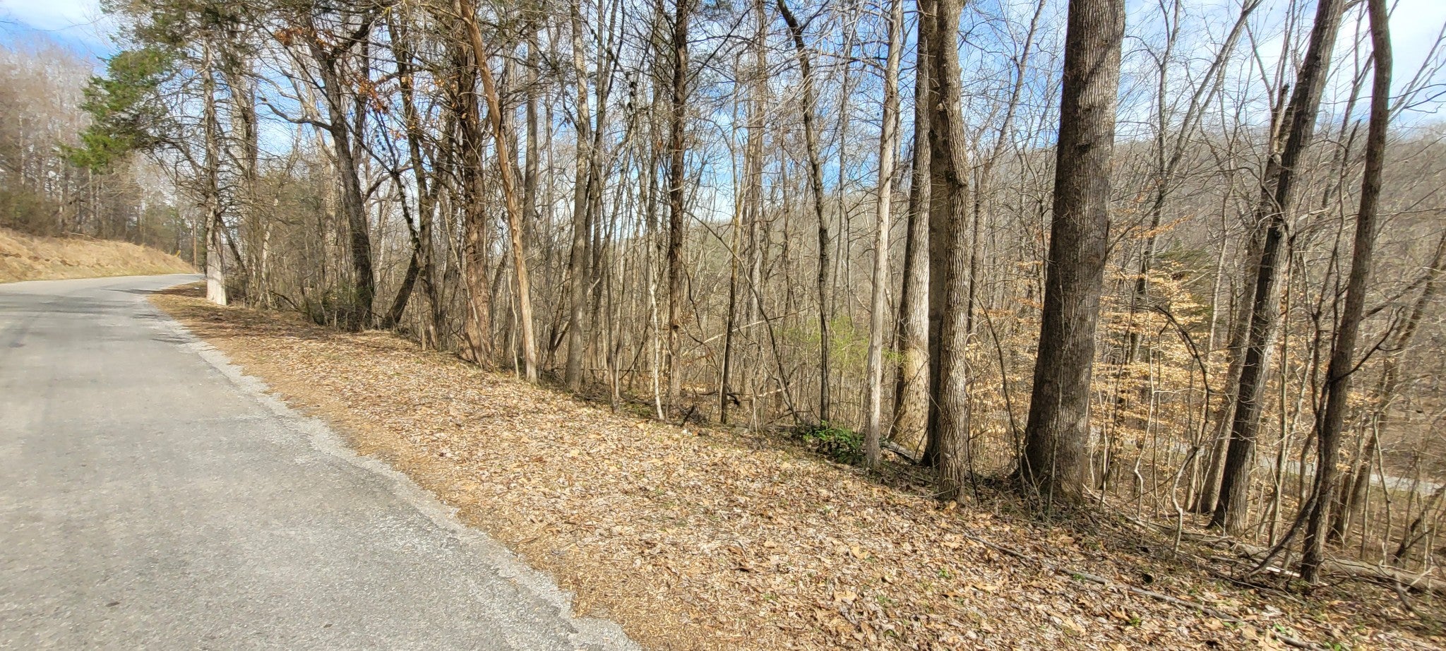 1 Lakeshore Cir