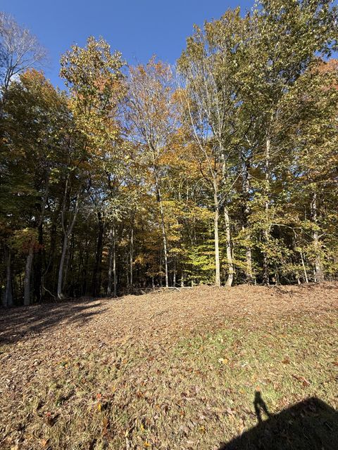 0 Collins Road Allons TN 38541