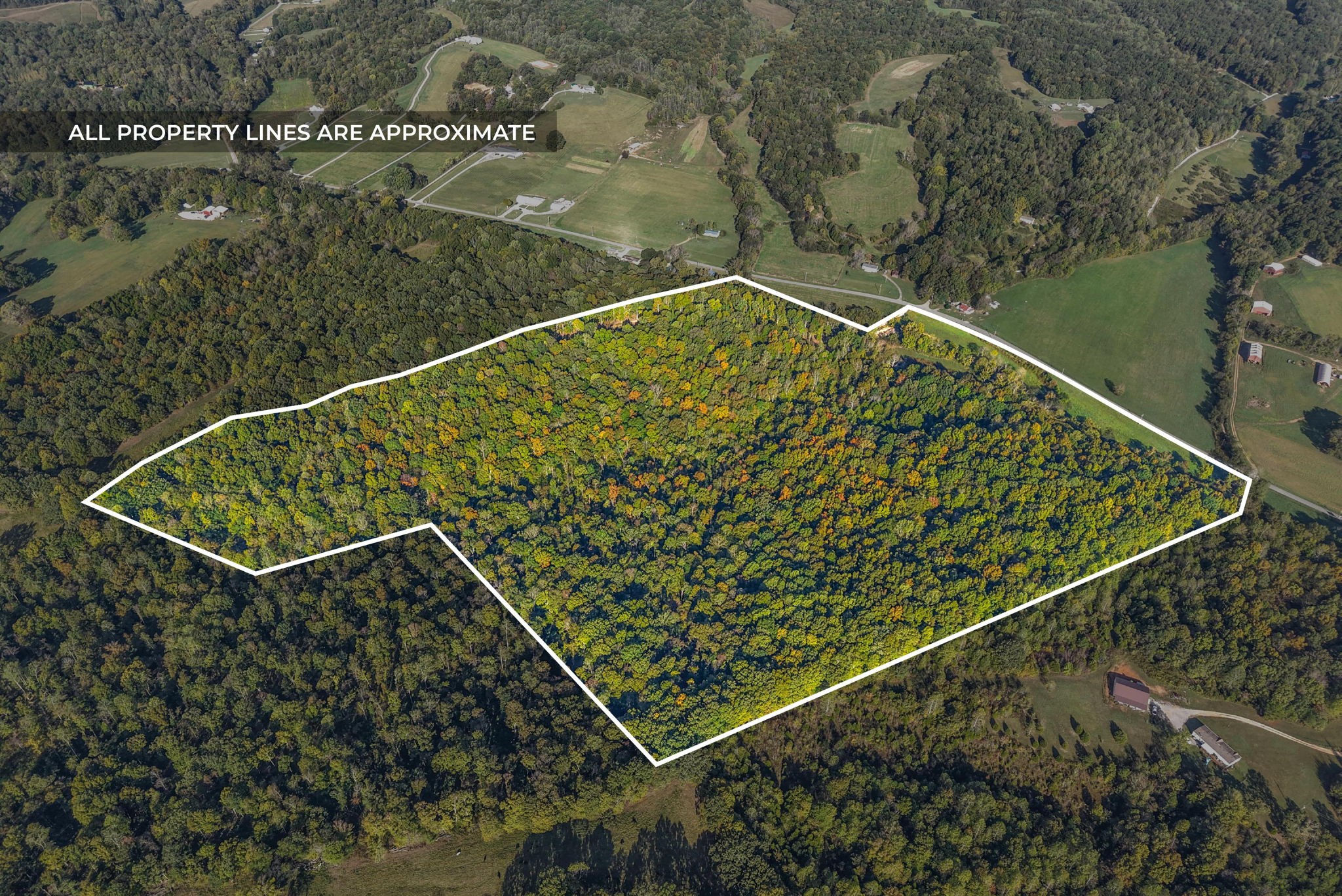 1740 Little Bartons Creek Rd