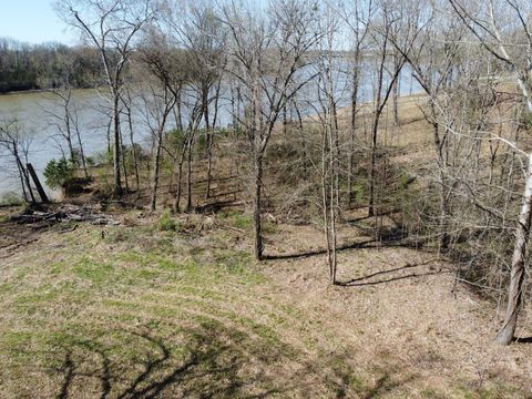 6 Island View Dr Bath Springs TN 38311
