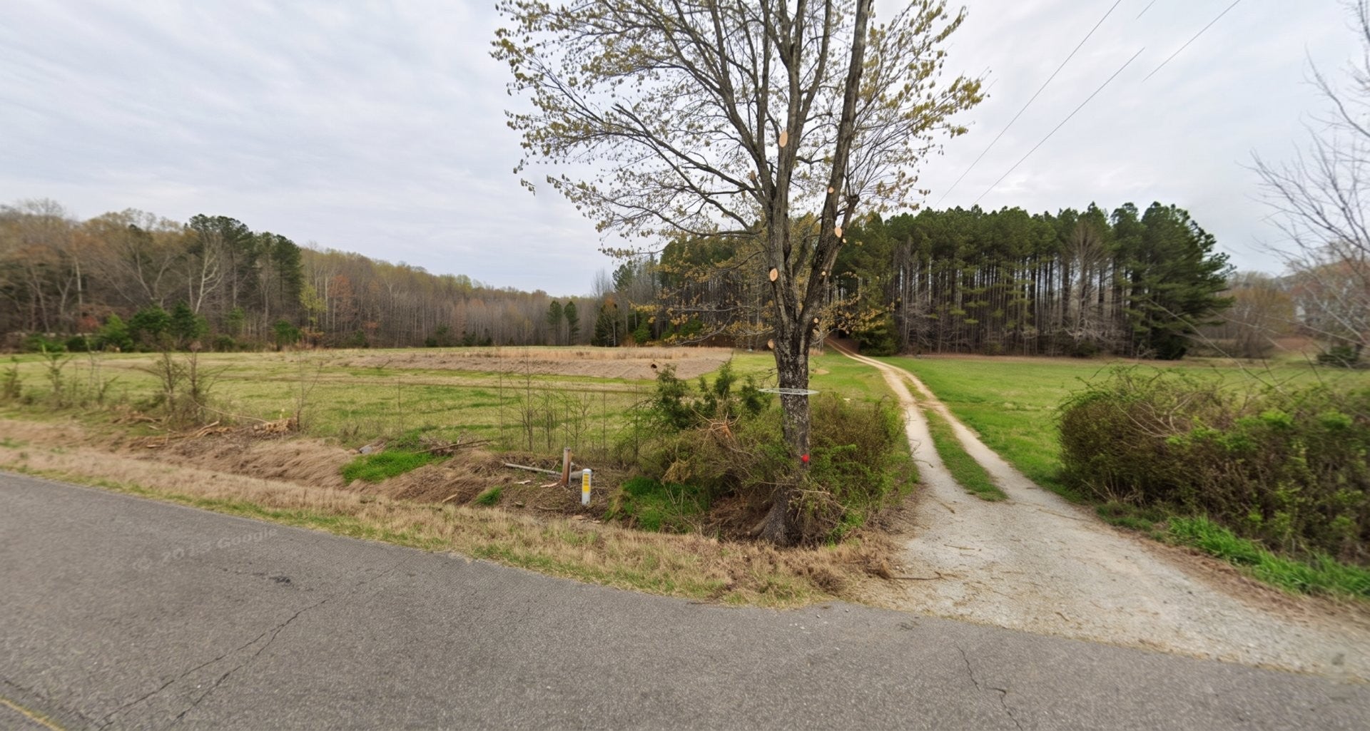 339 Idlewild Hollyleaf Rd