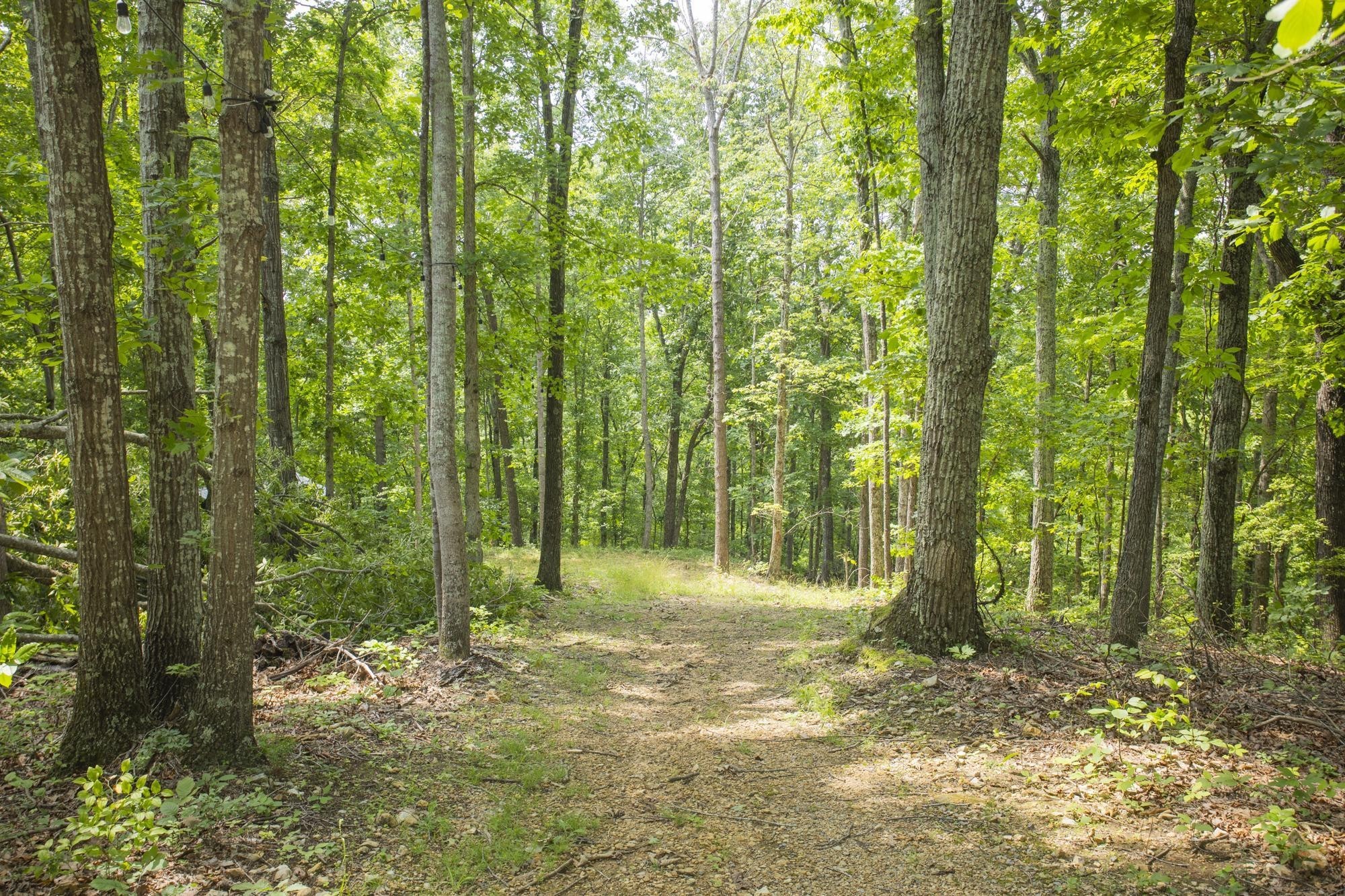 5590 Higdon Road