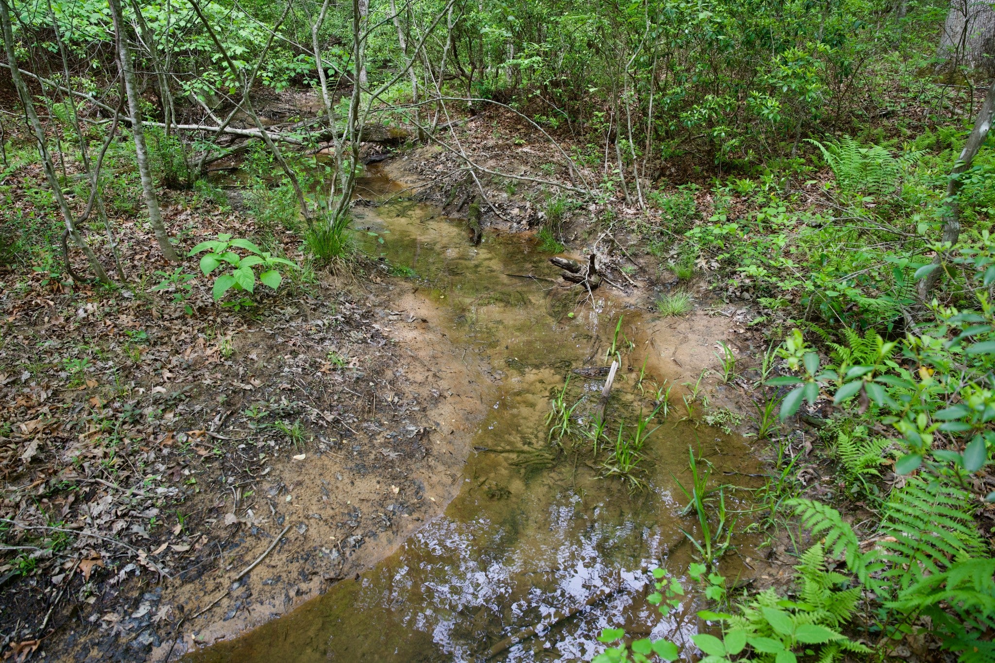 0 Creek Side Lane