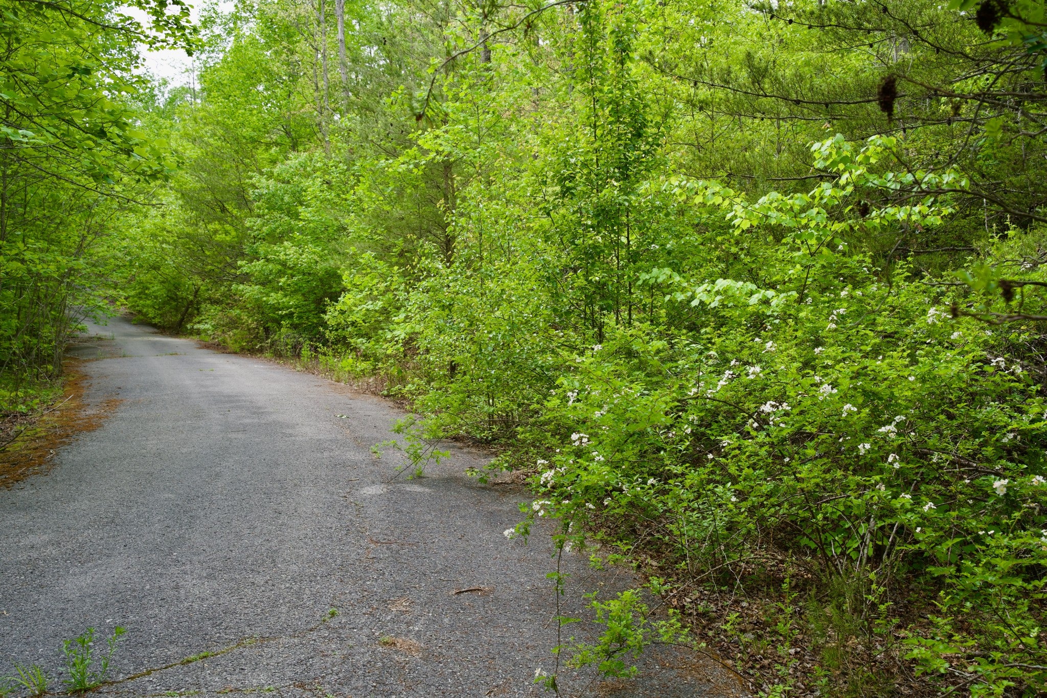 0 Creek Side Lane