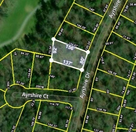 115 Ayrshire Drive