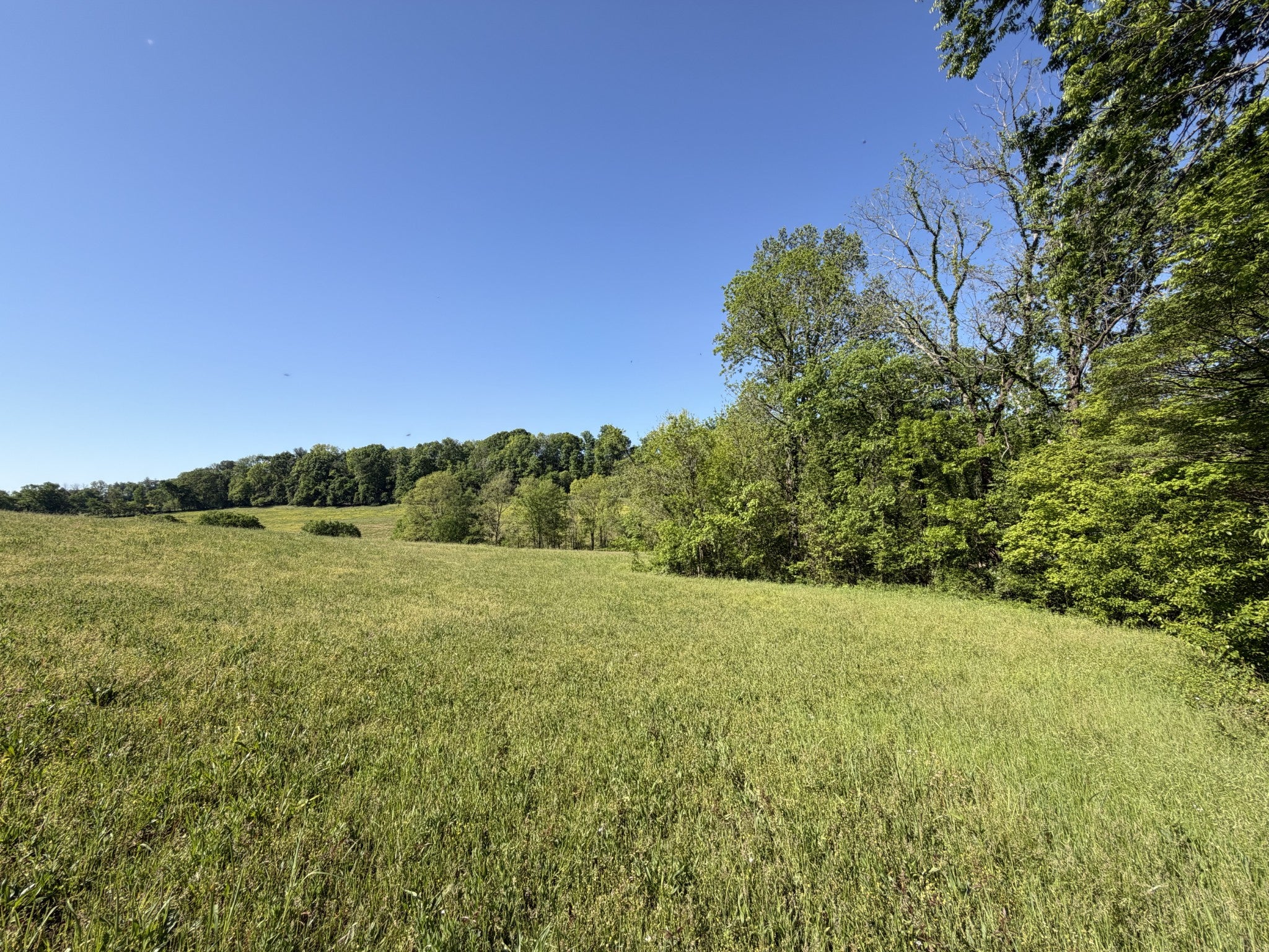 0 Steam Mill Hollow Road