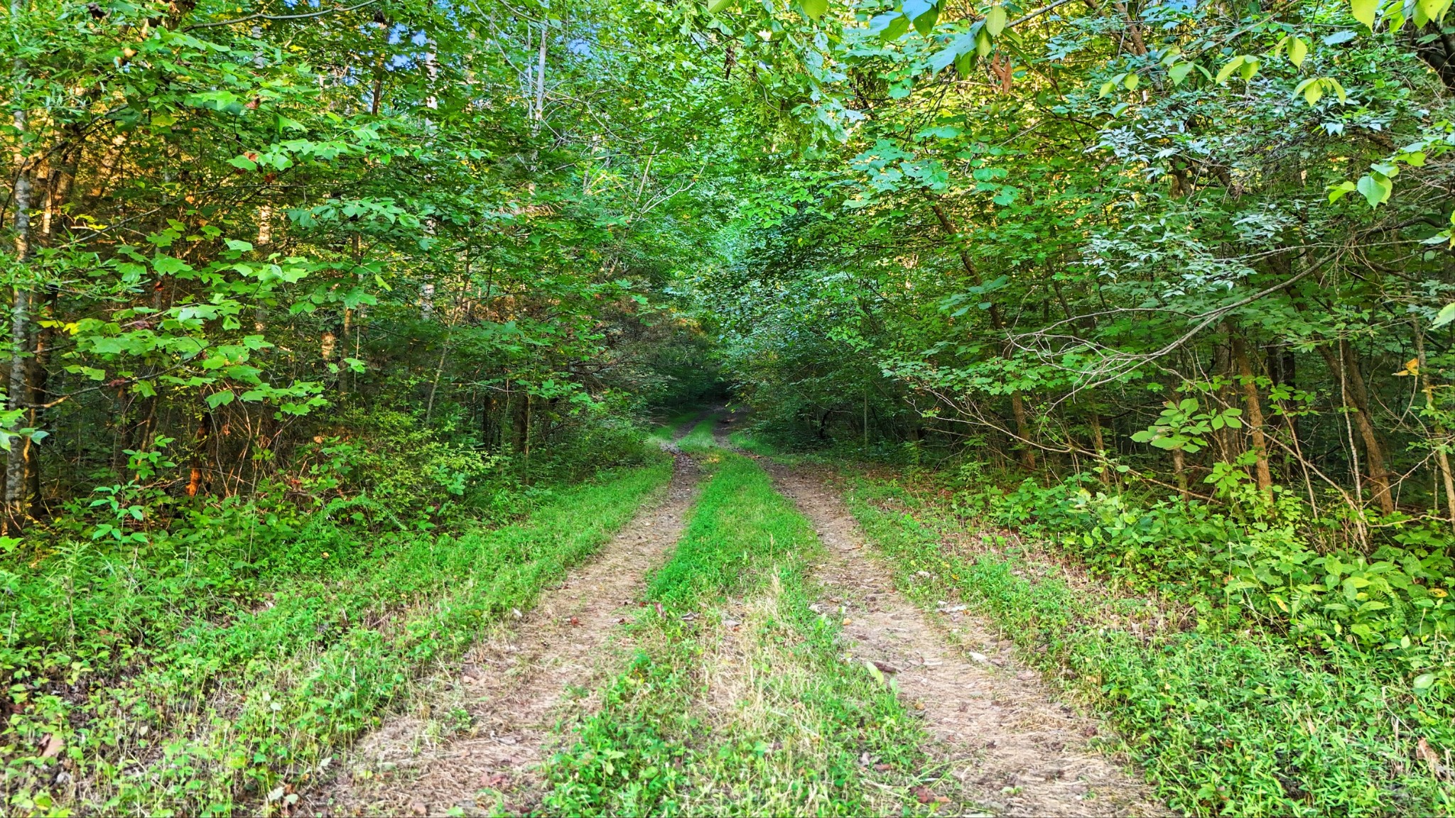 0 Pea Ridge Rd
