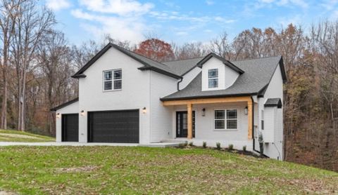 Photo of 3491 Meadows Rd, Cumberland Furnace, TN 37051 (MLS # 3061885)