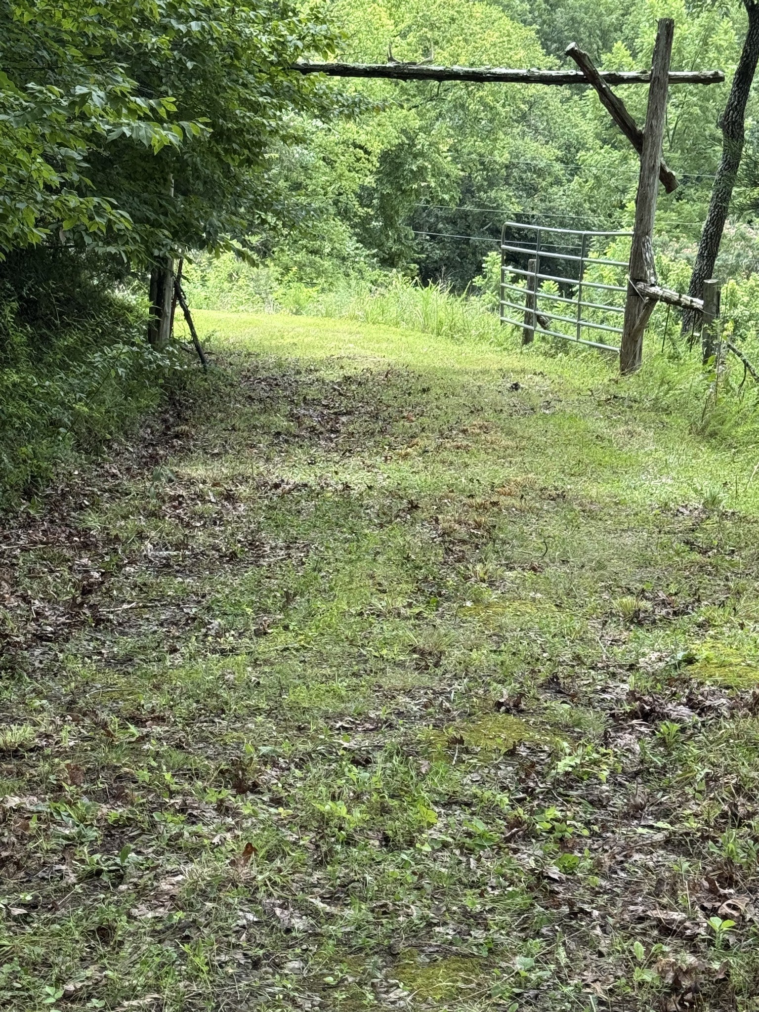 0 Honeysuckle Lane