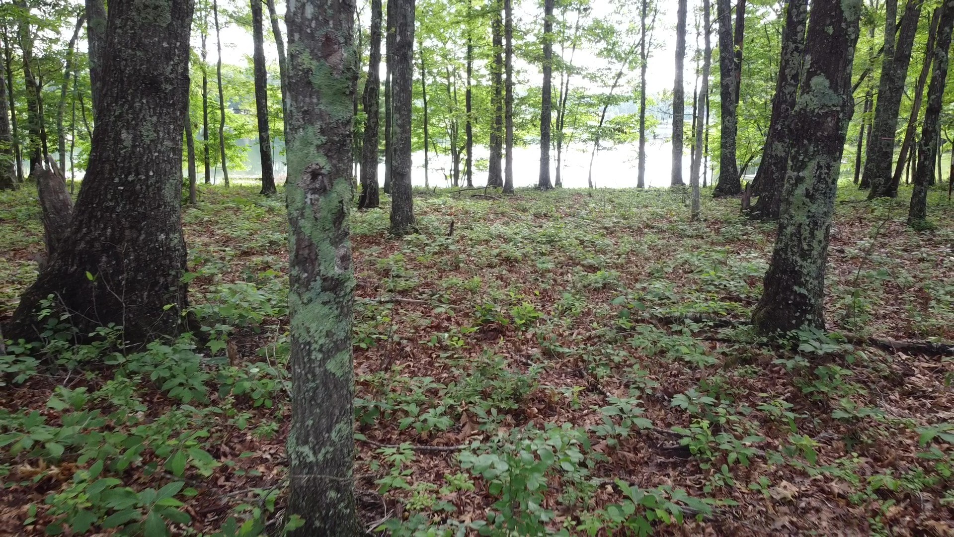 131 Camp Creek Circle