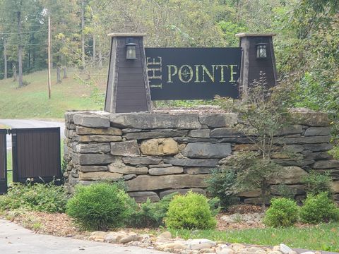 87C Mallard Rd Hilham TN 38568