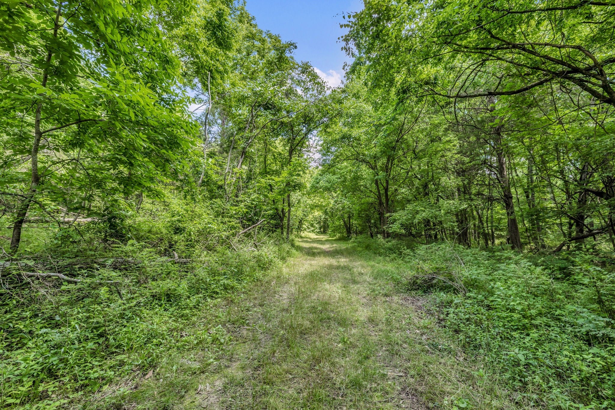 0 Lasata Drive, Franklin TN 37067 0-bed lot, photo 8 of 24