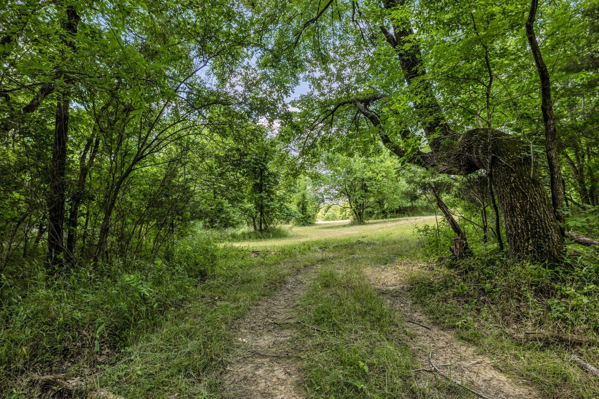 0 Lasata Drive, Franklin TN 37067 0-bed lot, photo 12 of 24