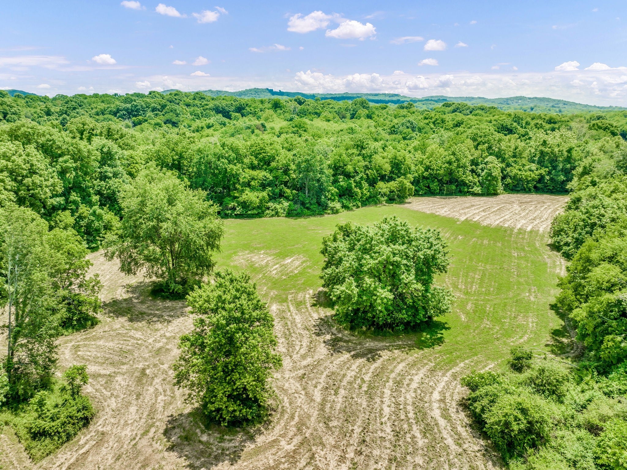 0 Lasata Drive, Franklin TN 37067 0-bed lot, photo 11 of 24
