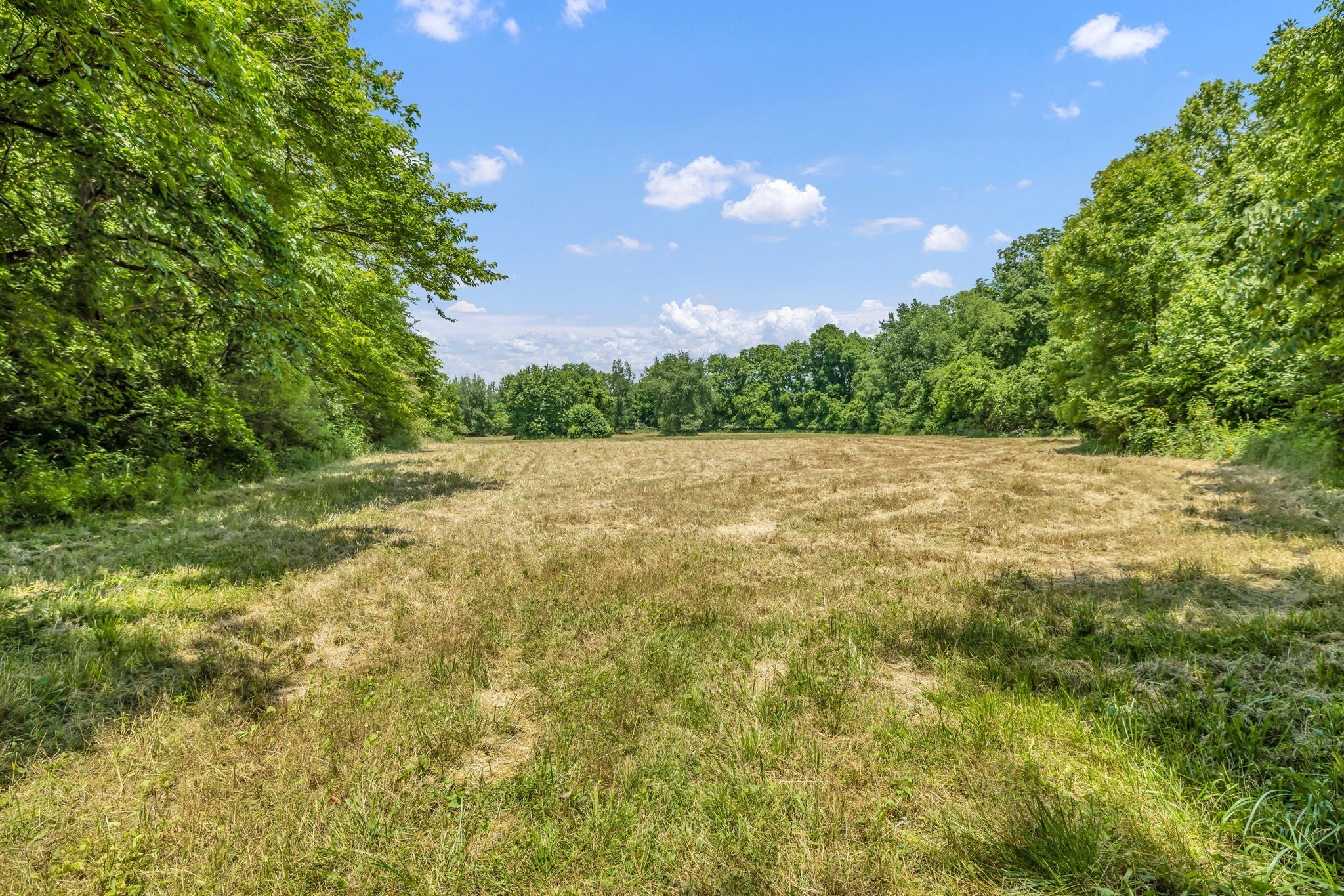 0 Lasata Drive, Franklin TN 37067 0-bed lot, photo 16 of 24