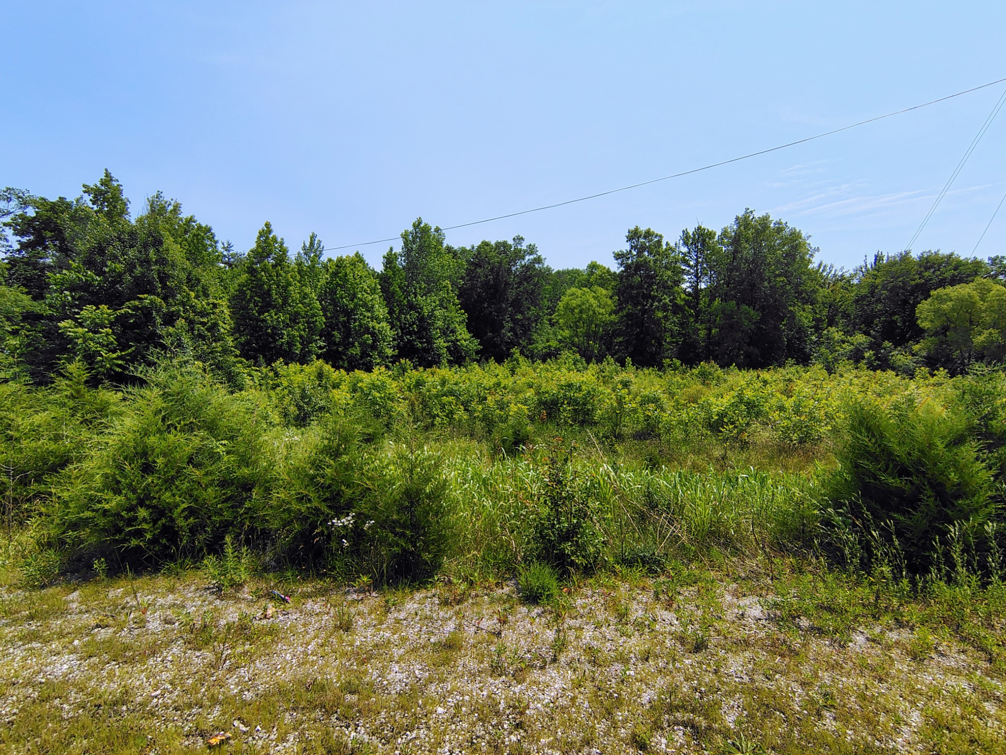 419 Rickman Rd