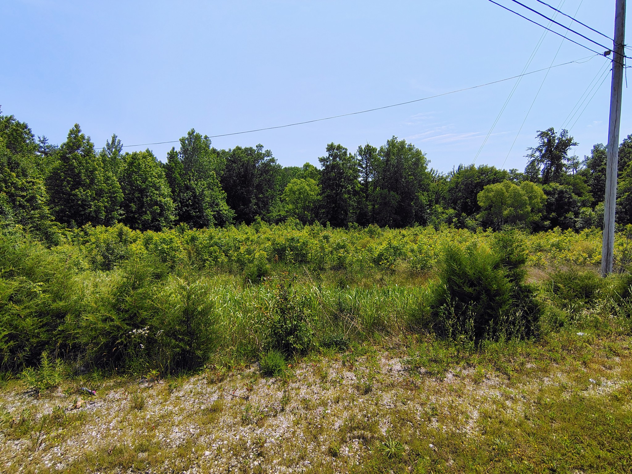 419 Rickman Rd