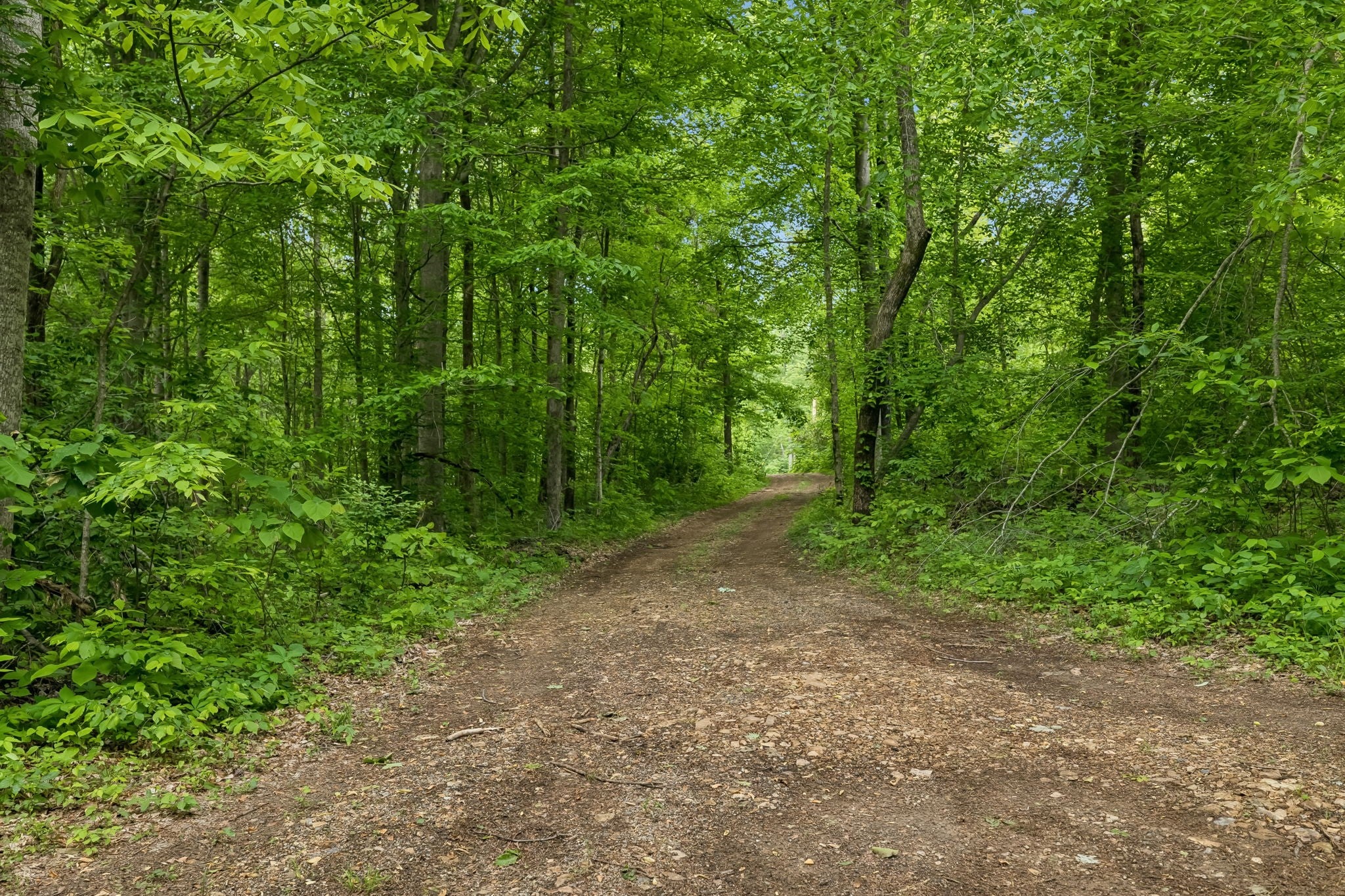 0 Wilderness Lane