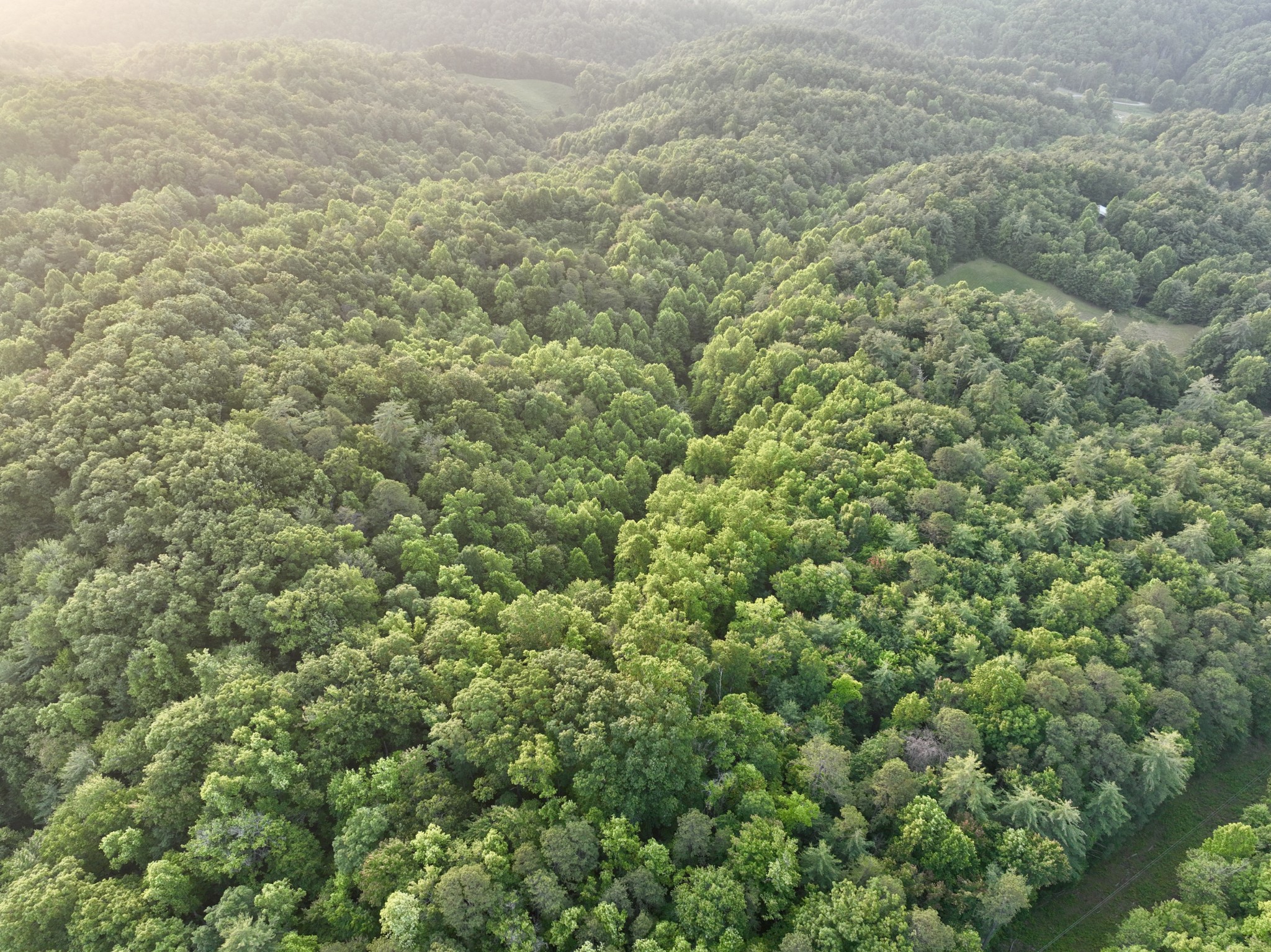 1 Ridge Hollow Rd