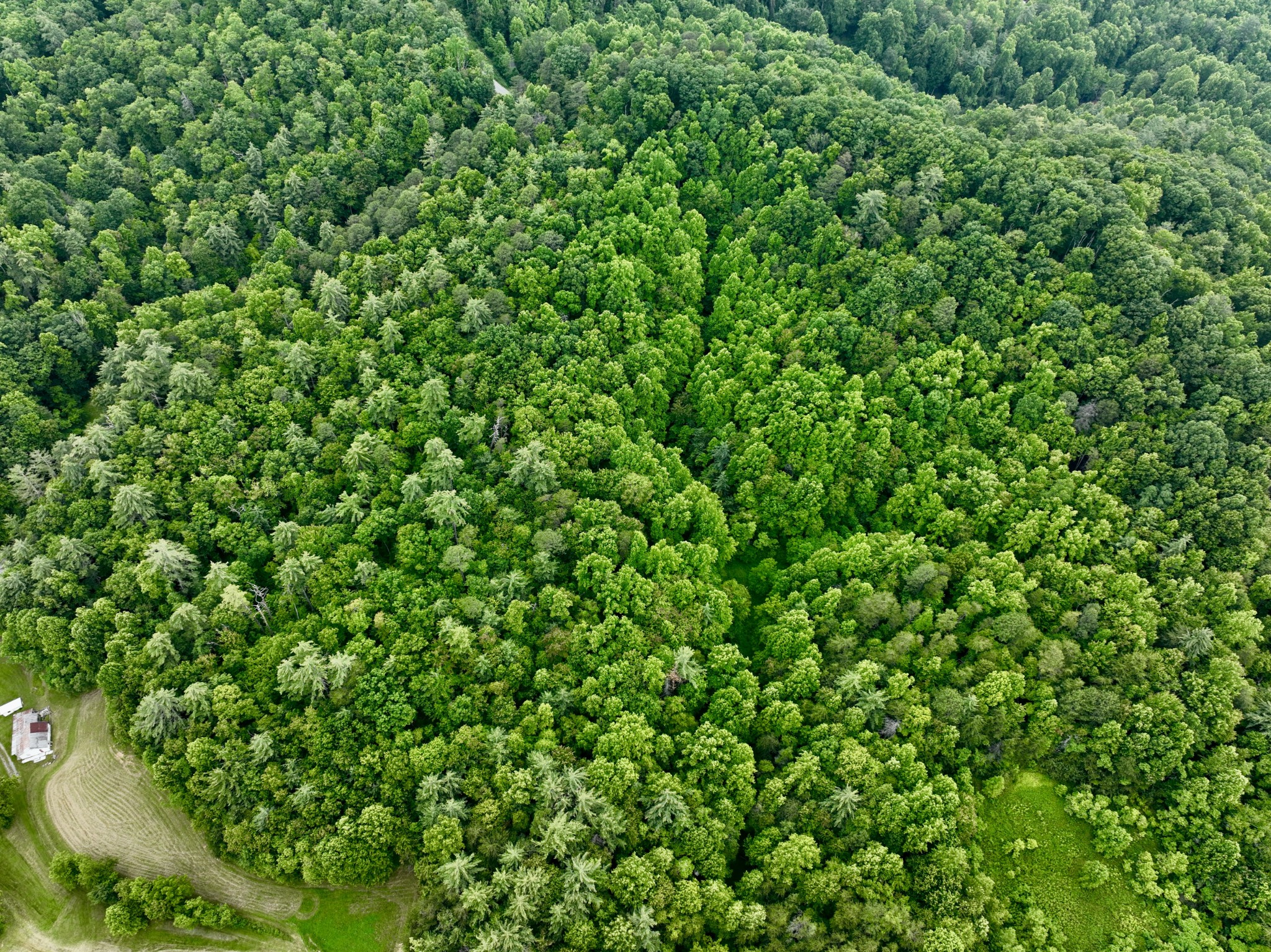 1 Ridge Hollow Rd