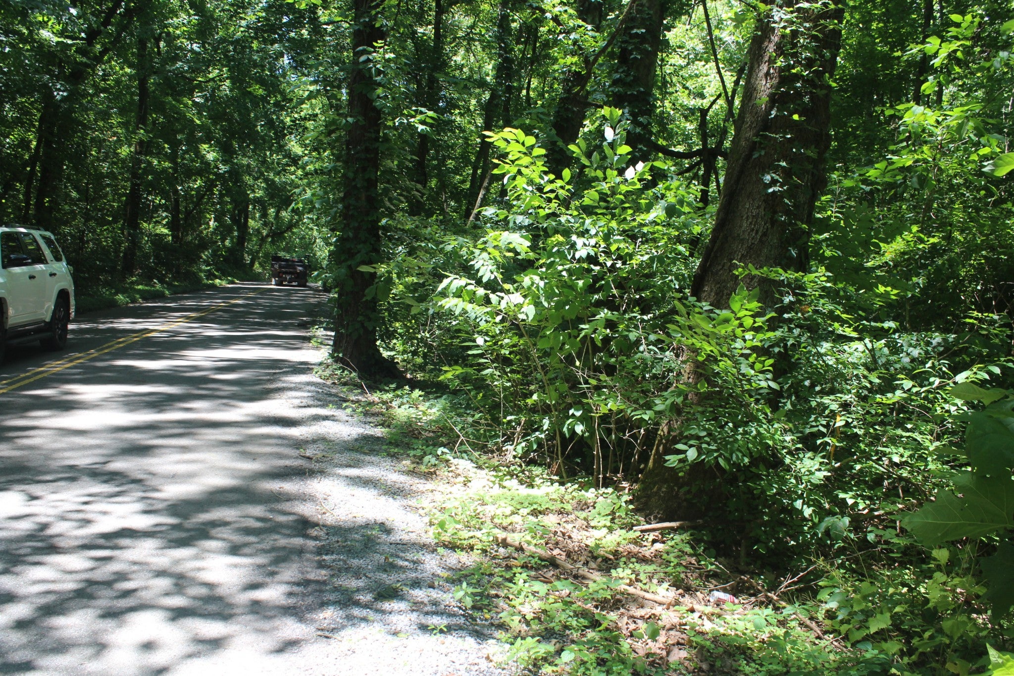 3978 Dry Fork Rd