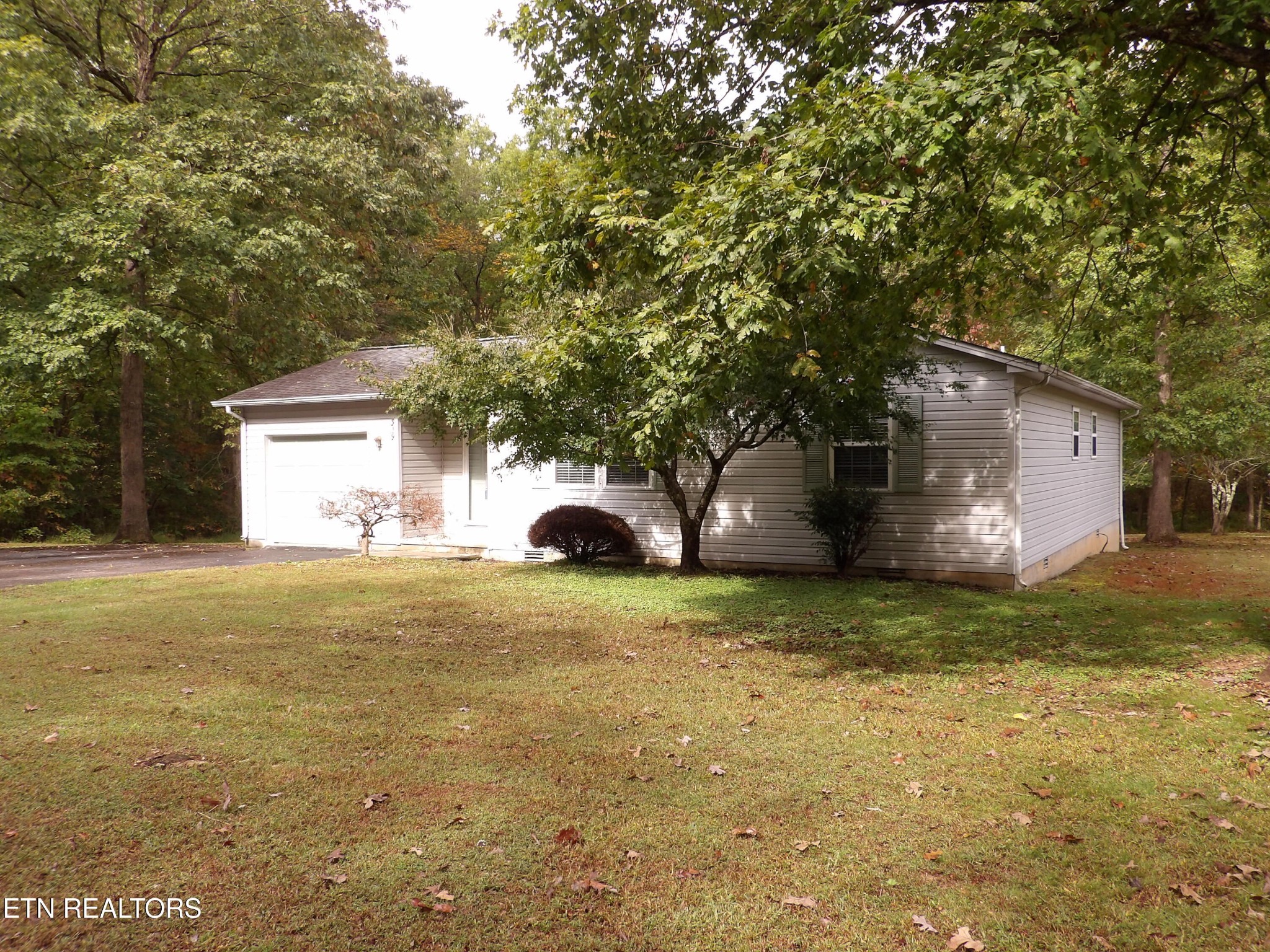 319 Sycamore Drive