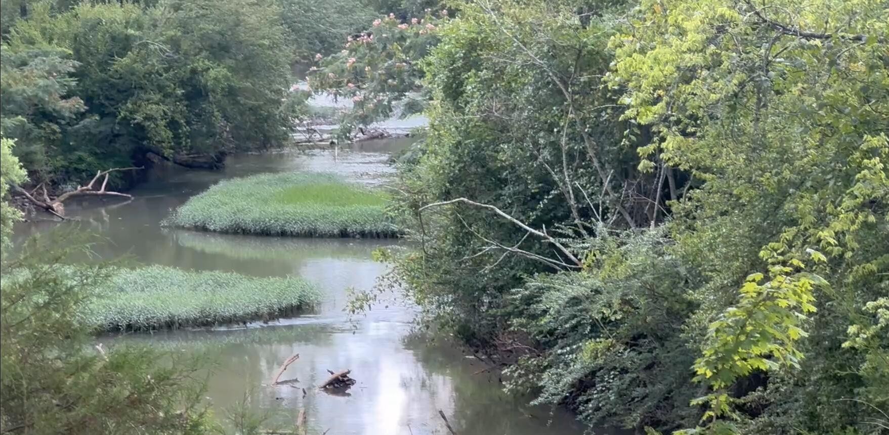 3949 Lower East Valley