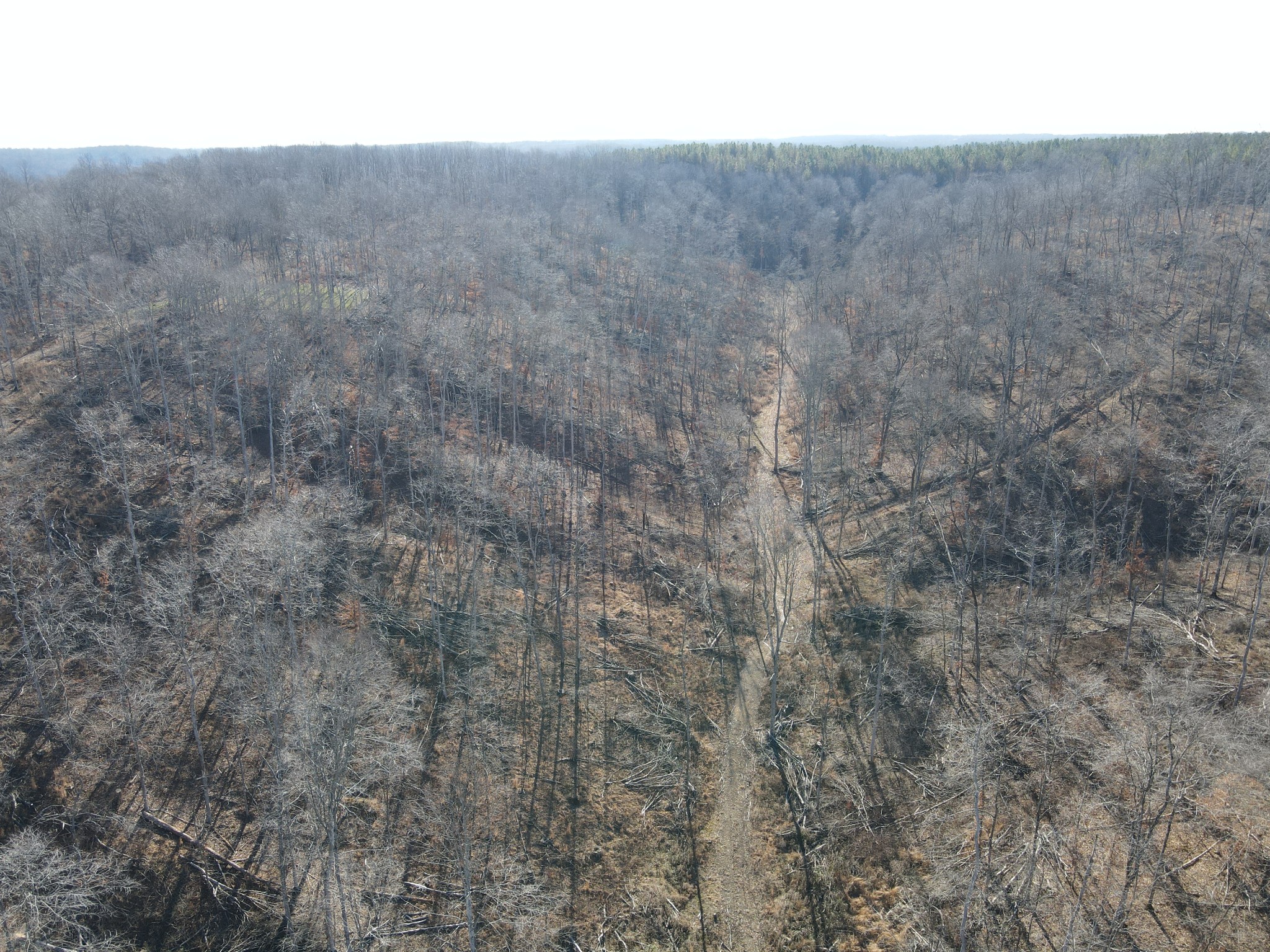 0 Busby Cemetery Lane