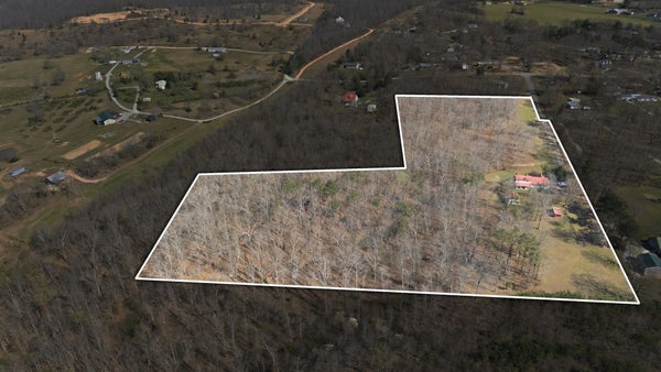 91 WHISPERING OAKS ST, SUMMERTOWN, TN 38483 - Image dd1c7de2d8ccde4604f3d96ca2abceb3/1679194842