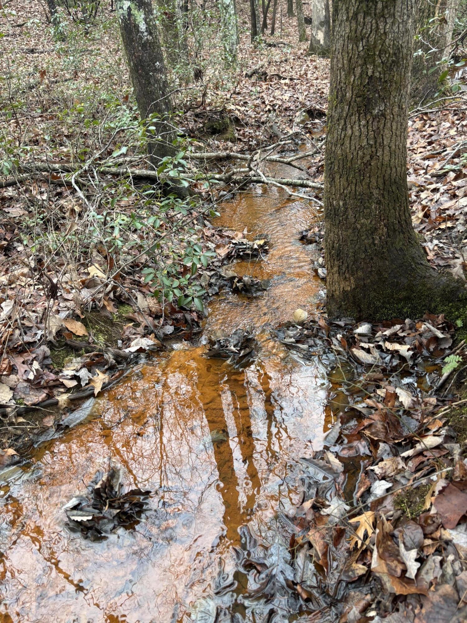 3699 Crockett Pointe