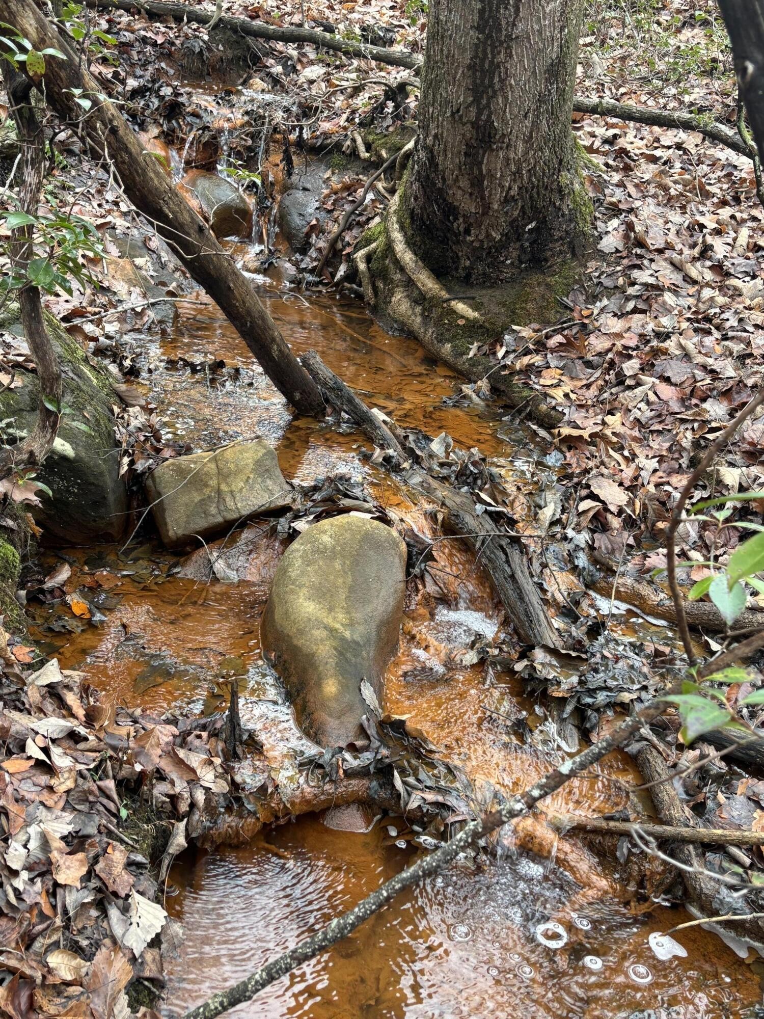 3699 Crockett Pointe