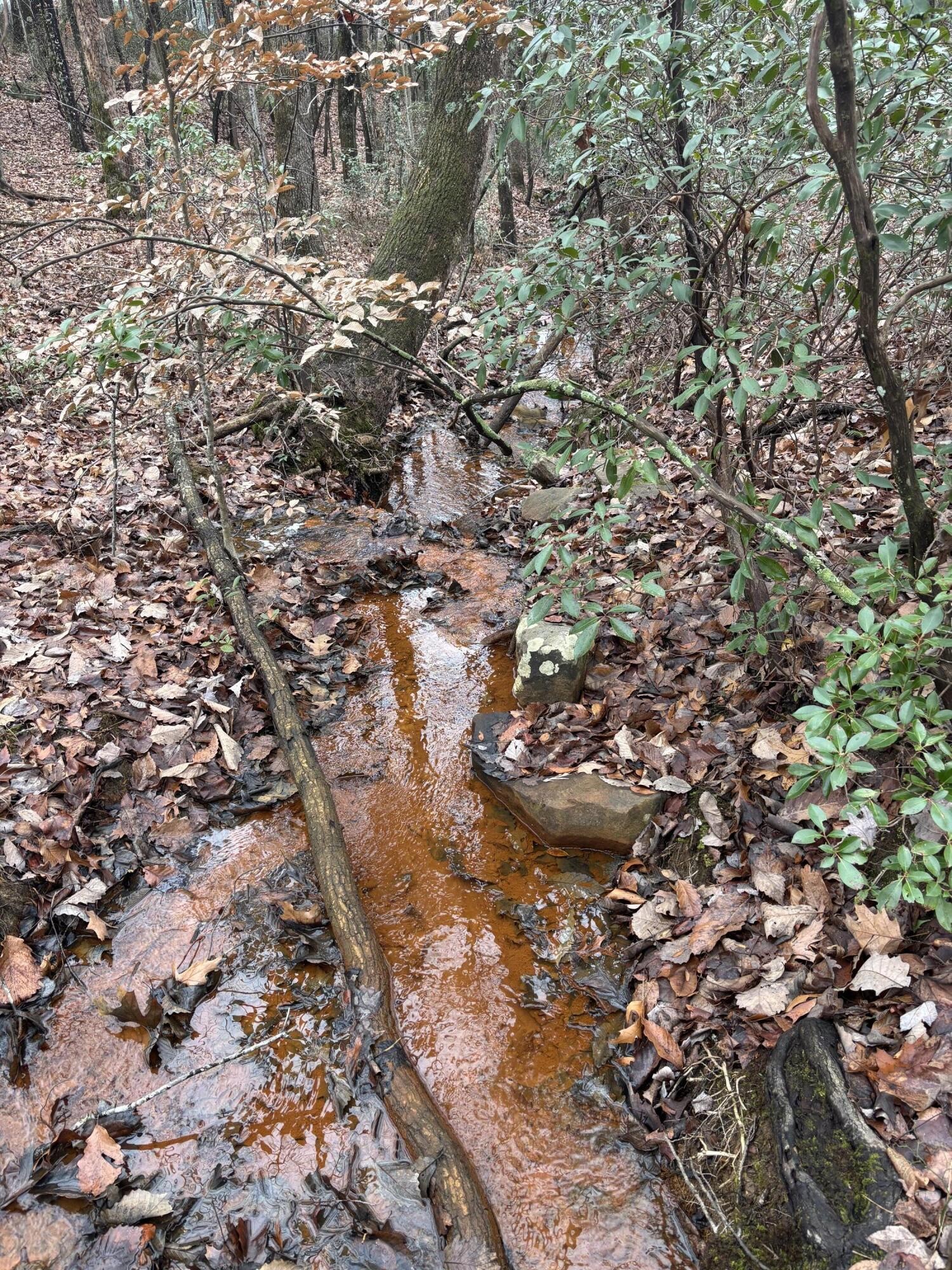 3699 Crockett Pointe