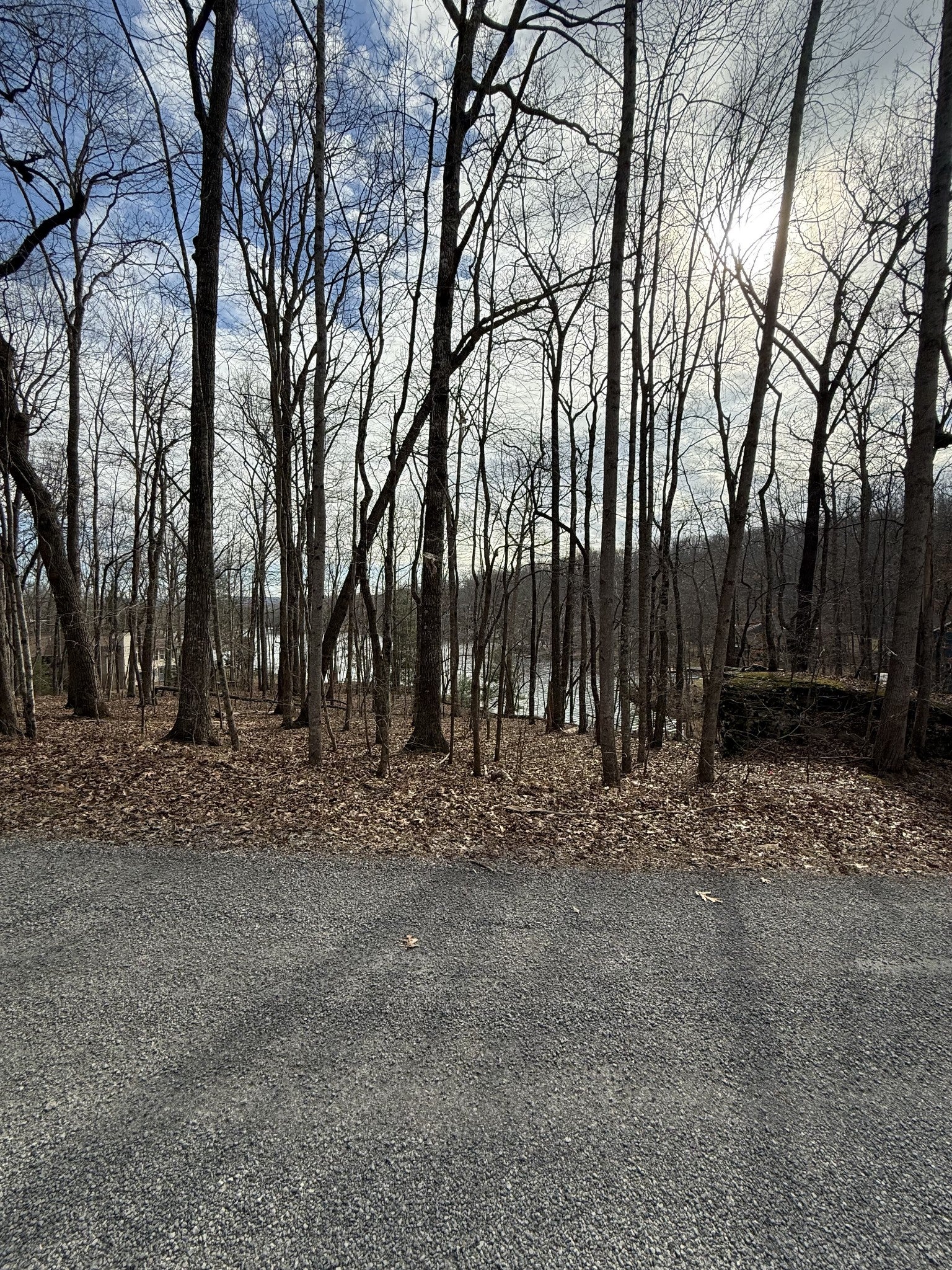223 Dublin Ln