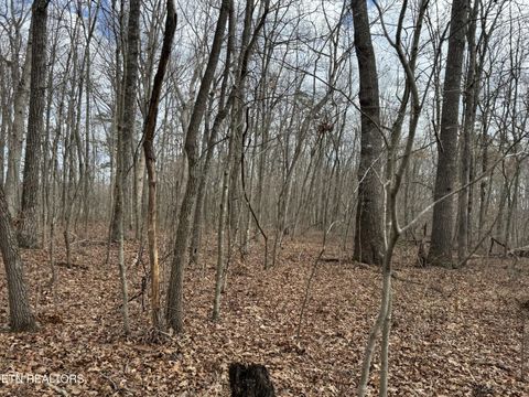 1261 Roanoke Rd Jamestown TN 38556