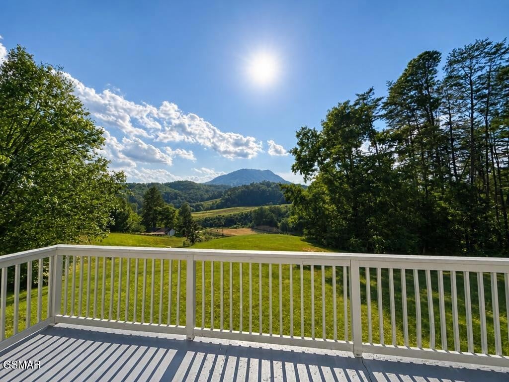1341 Goose Gap Road